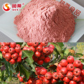 Freeze-dried Hawthorn Berry Organic Powder Dried FD, Low Temperature Vacuum Dehydrated Sour from CN;HEB 80--100 2.5 Kg 5%